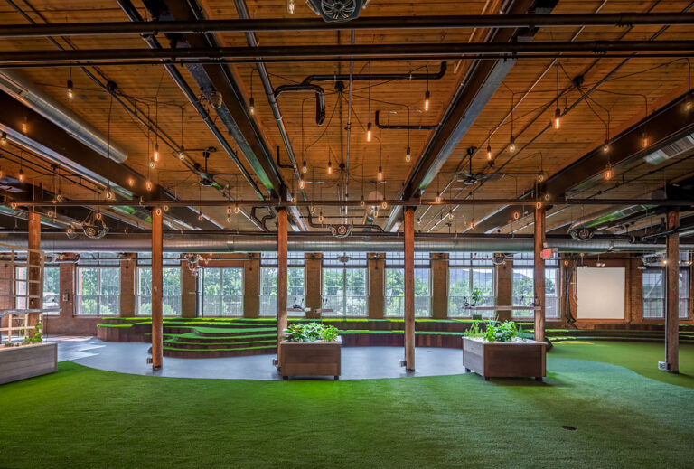 Wide interior shot highlighting the wide open, green space and beautiful mixed lighting.