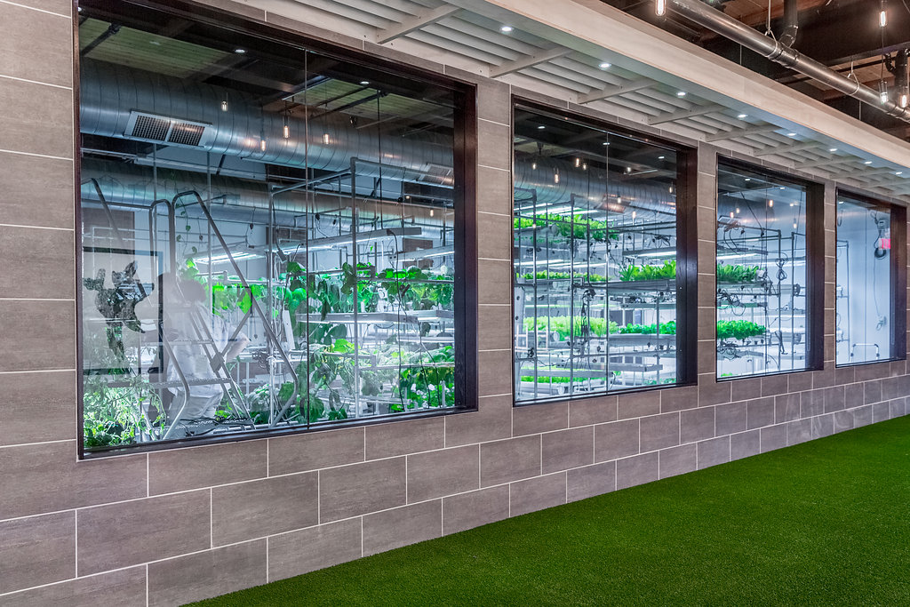 Interior shot of concrete and turf details underneath a window into the hydroponic grow space.
