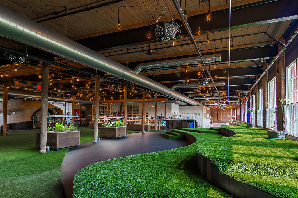 Interior wide shot highlighting turf and unique interior structure as well as the light and sound setup for the space.